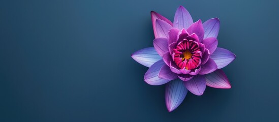 Aufkleber - Vibrant pink and purple lotus captured from above in a close up shot showcasing its simplicity and beauty with copy space image