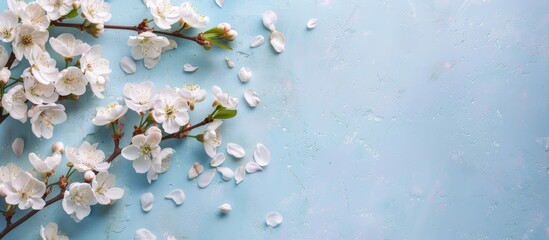 Poster - Pastel blue background showcasing spring blossoms on branches with copy space image