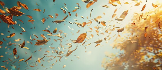 Sticker - Foliage drifting gently in an autumn breeze, creating a serene and picturesque scene for the copy space image.