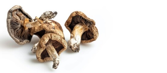 Poster - Isolated dried mushrooms on a white background with space for text or graphics in the image. copy space available