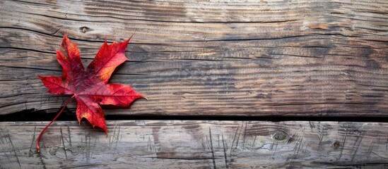Poster - Autumnal Red Maple leaf on wood table with available copy space image