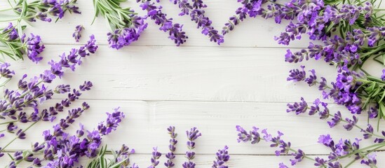 Leinwandbilder - A floral composition with vibrant purple lavender flowers arranged in a circular frame on a white wooden table featuring an empty white paper at the center for a copy space image in a top view flat l