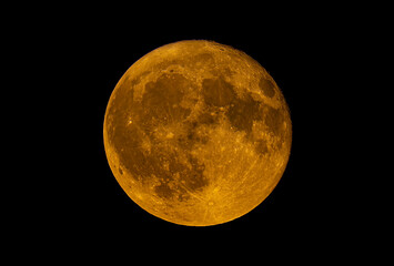 Wall Mural - full buck moon glowing orange rising over ottawa, ontario, canada, july 21, 2024 against a black bac