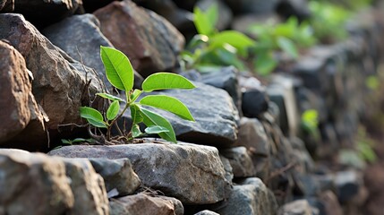 Sticker - A close-up view of a rugged stone wall with a vibrant green plant flourishing from its crevices  