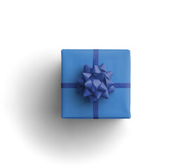 Wall Mural - Blue Gift Box with Blue Ribbon and Bow