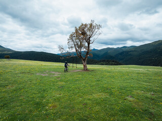 Wall Mural - Aerial view of woman riding mountain bike on flowering grassland mountain