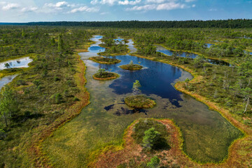 swamp savanna park aerial drone