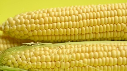 Canvas Print - yellow sweet corn on the cob