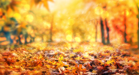 Wall Mural - yellow fall leaves, autumn blurred natural background