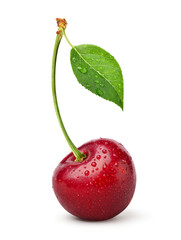 Wall Mural - Red Cherry with water droplets isolated on white background.