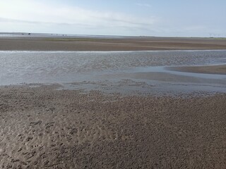 Wetland landscape