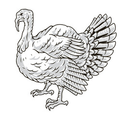 Sticker - Angry turkey detailed sticker monochrome