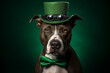 © Tetiana - Saint Patrick's Day celebration season, Irish favorite holiday atmosphere funny dog pet, Generative AI picture