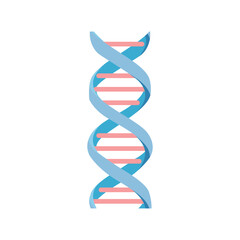 DNA molecule in flat style. Genetic molecule structure with connections. Vector illustration. Isolated on white background