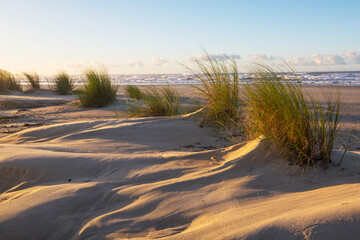 Sticker - Sand dunes on coast