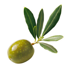 Wall Mural - [Transparent Background PNG]Olive