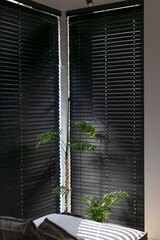 Fototapete - Wooden electric blinds in the modern interior, creating a sleek and stylish atmosphere. Sunlight filters through the venetian blinds on windows, black color, shadows on the sofa. Motorized shutters.