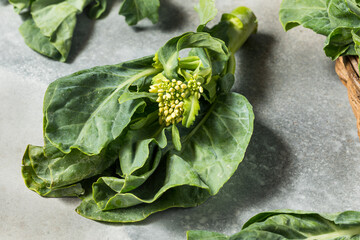 Canvas Print - Raw Green Organic Asian Chinese Broccoli