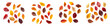 © Chadys - red, yellow and brown autumn leaves collection isolated on transparent or white background