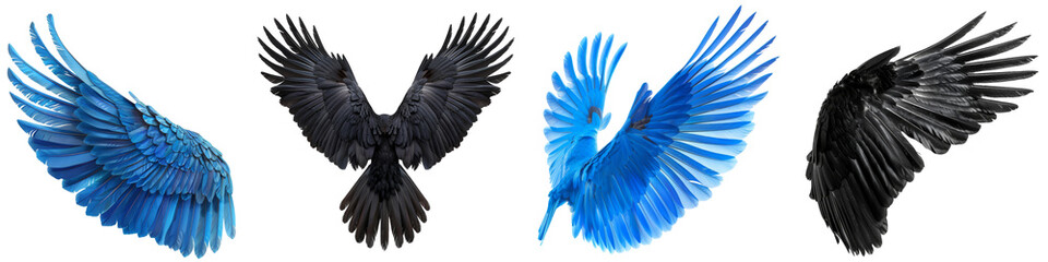 Collection of black and blue pride wings isolated on transparent or white background