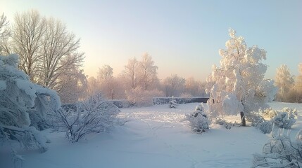 Poster - snowy winter landscape with trees and a clear sky at sunrise