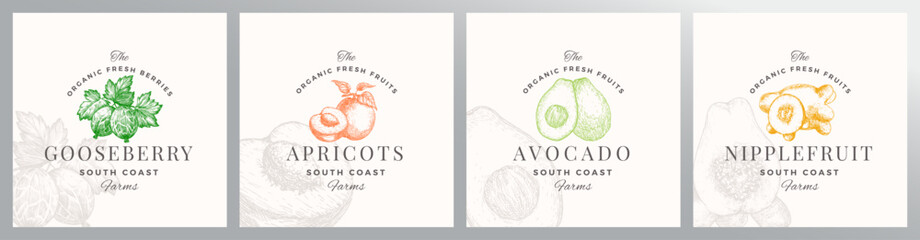 Wall Mural - organic fruit berries logo templates set. hand drawn gooseberry, apricot, avocado and nipplefruit sk