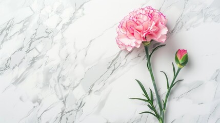 Canvas Print - Elegant pink carnation on white marble Mother s Day gift concept from above