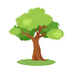 tree with lot of leaf good quality