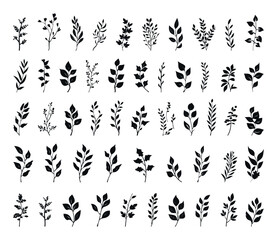 Wall Mural - Branches and Leaves Set Hand Drawn Simple Style Black Icons White Background Vector Botanical Illustrations Graphic Design Elements Natural Elements Sketchy Outline Drawings