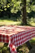 © Alexandr Efimov - Red Checkered Picnic Table