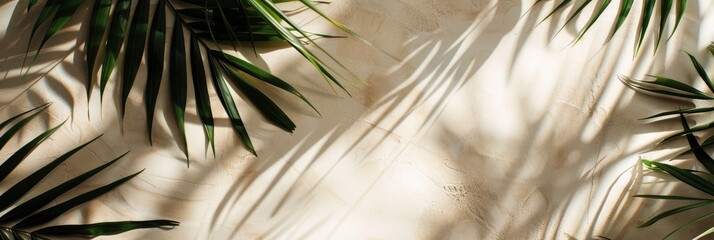 Poster - A light beige surface with shadows from tropical palm leaves cast across it