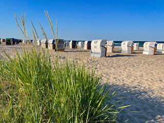 View of the sandy beach, traditional north german beach chairs strandkorb and green beach grass on Baltic sea coast