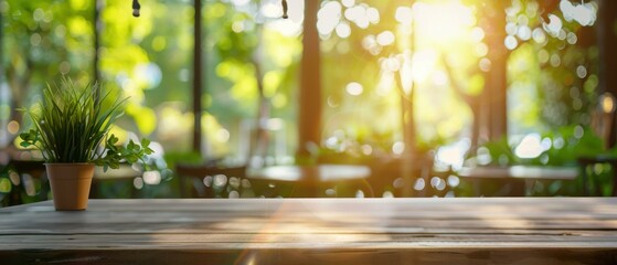 Canvas Print - A potted plant on a table in front of blurry trees. AI.