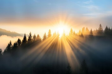 Wall Mural - The sun is shining through the trees, creating a beautiful and serene atmosphere