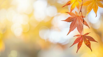 Wall Mural - A leafy branch with a few leaves on it