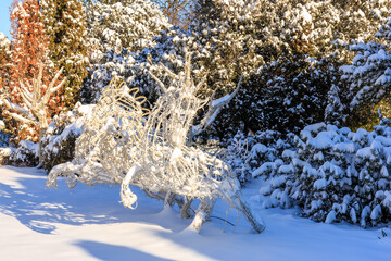 Wall Mural - A sculpture of a horse is covered in snow, winter background or backdrop