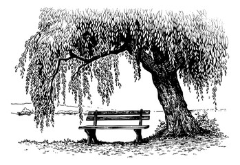 Wall Mural - bench willow tree engraving black and white outline