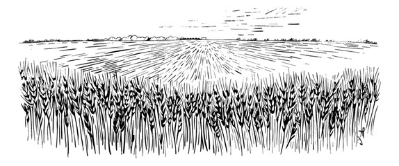 Wall Mural - wheat field engraving black and white outline