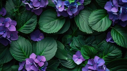 Canvas Print - Purple garden flowers with green leaf backdrop space for writing