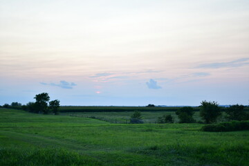 Wall Mural - Rural Field