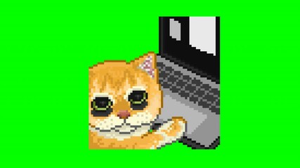 Wall Mural - Computer cat tired of working, meme Animation pixel art 