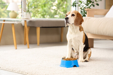 Sticker - Cute beagle dog and bowl with dry food at home