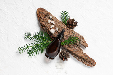 Wall Mural - Composition with bottle of essential oil, tree bark, fir branches and cones on light background