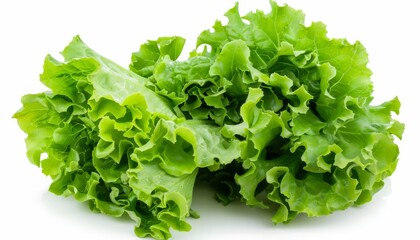 Wall Mural - a fresh ripe lettuce on a white background