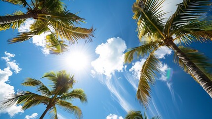 Palm Trees against a Bright Blue Sky