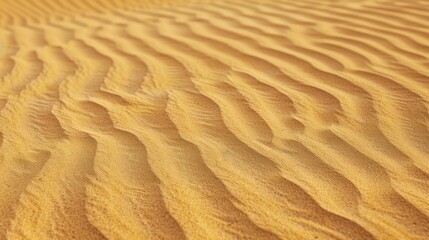 Poster - Desert sand forms ripples