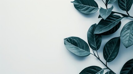Poster - Render a modern, minimalist leaf frame with sleek lines and a monochromatic palette, positioned on a stark white background. 