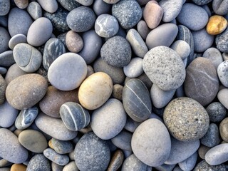 Wall Mural - Natural abstract background featuring a close-up of shiny gray stones and pebbles in varying sizes and shapes, with subtle texture and gentle shadows.