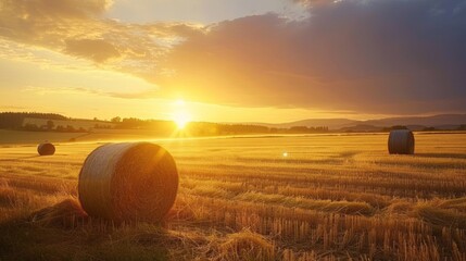 Poster - A field of hay bales with the sun setting in the background