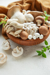 Wall Mural - Assortment of various mushrooms